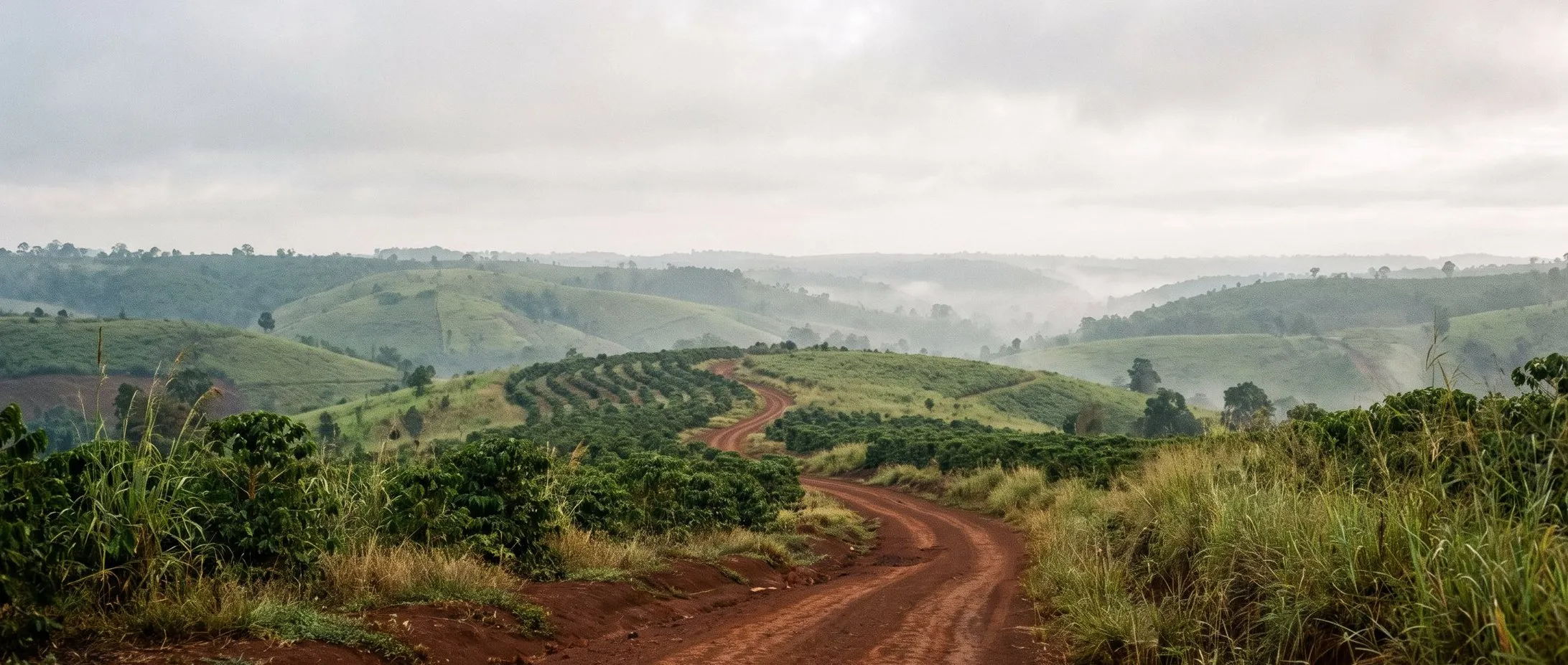 Highland landscape in Ratanakiri province